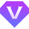 公司V